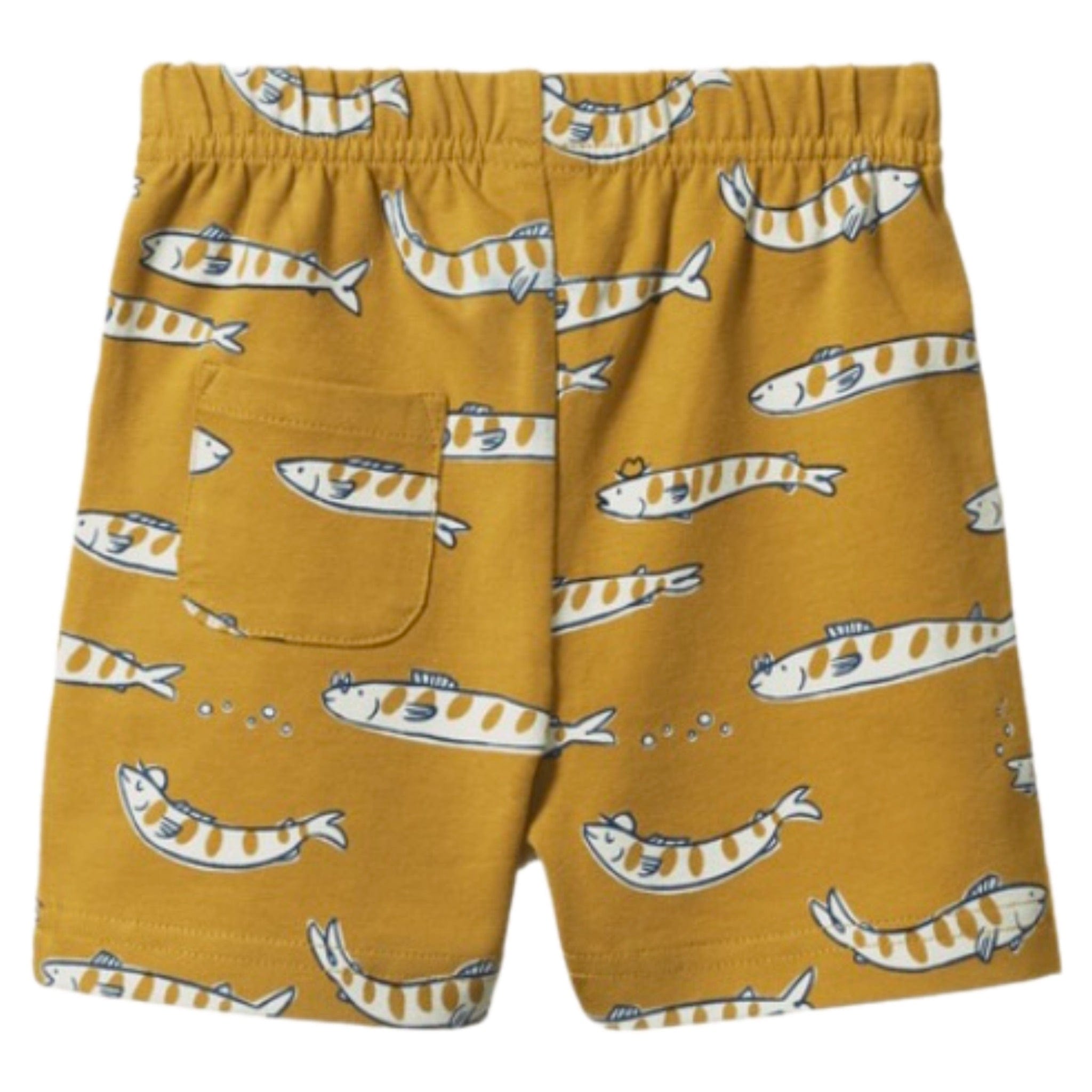 Nature Baby 6-12 Months to 5 Years Jimmy Shorts - South Seas Palm