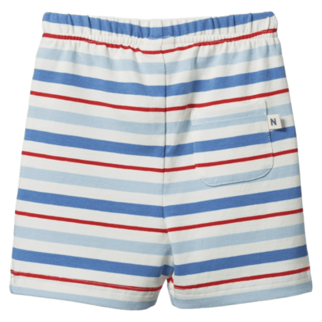 Nature Baby 6-12 Months to 5 Years Jimmy Shorts - Surf Stripe