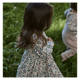 Nature Baby 6-12 Months to 5 Years Long Sleeve Twirl Dress - Grand Briarwood