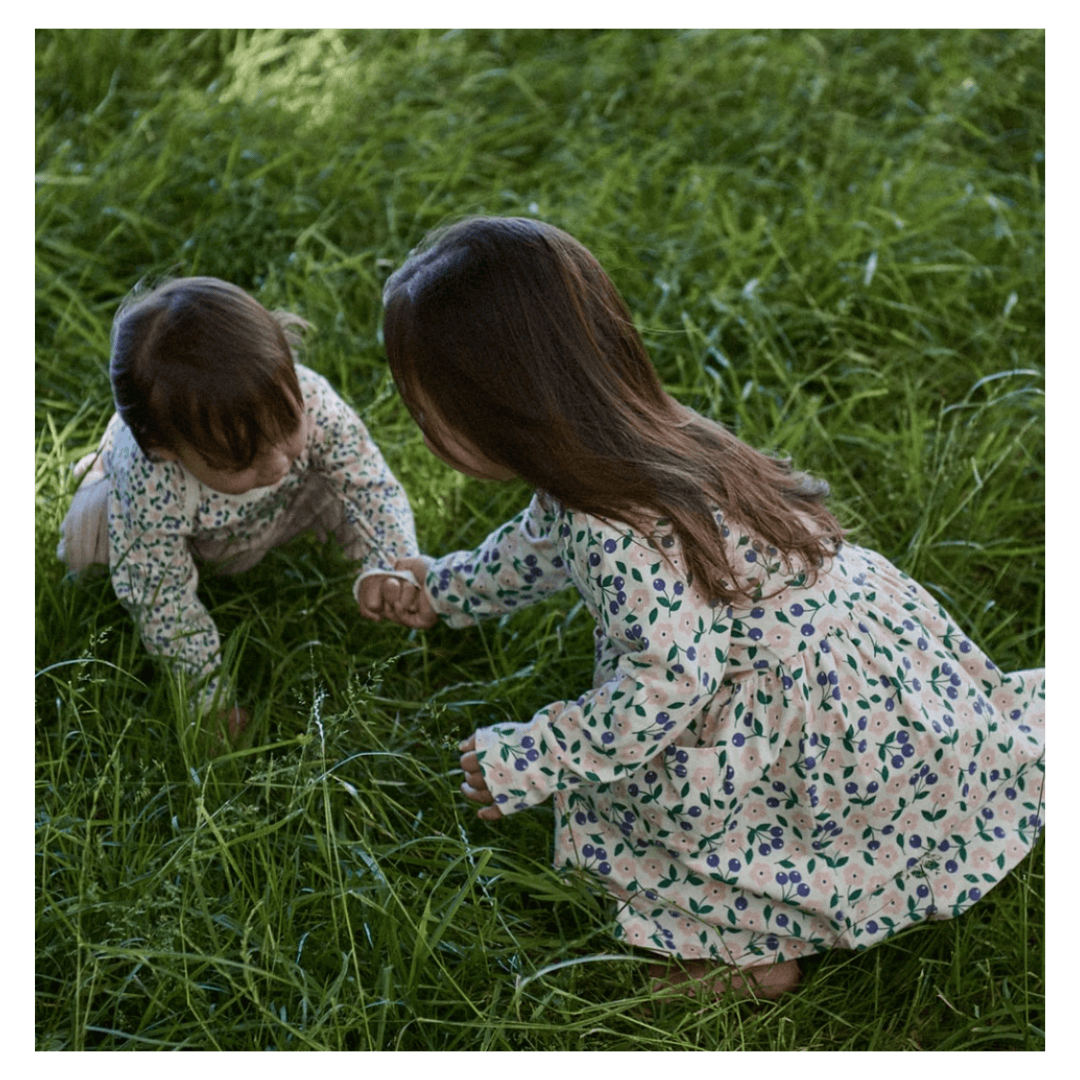 Nature Baby 6-12 Months to 5 Years Long Sleeve Twirl Dress - Grand Briarwood