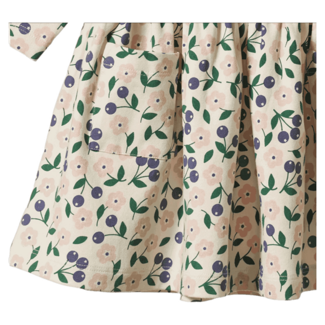 Nature Baby 6-12 Months to 5 Years Long Sleeve Twirl Dress - Grand Briarwood