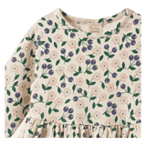 Nature Baby 6-12 Months to 5 Years Long Sleeve Twirl Dress - Grand Briarwood
