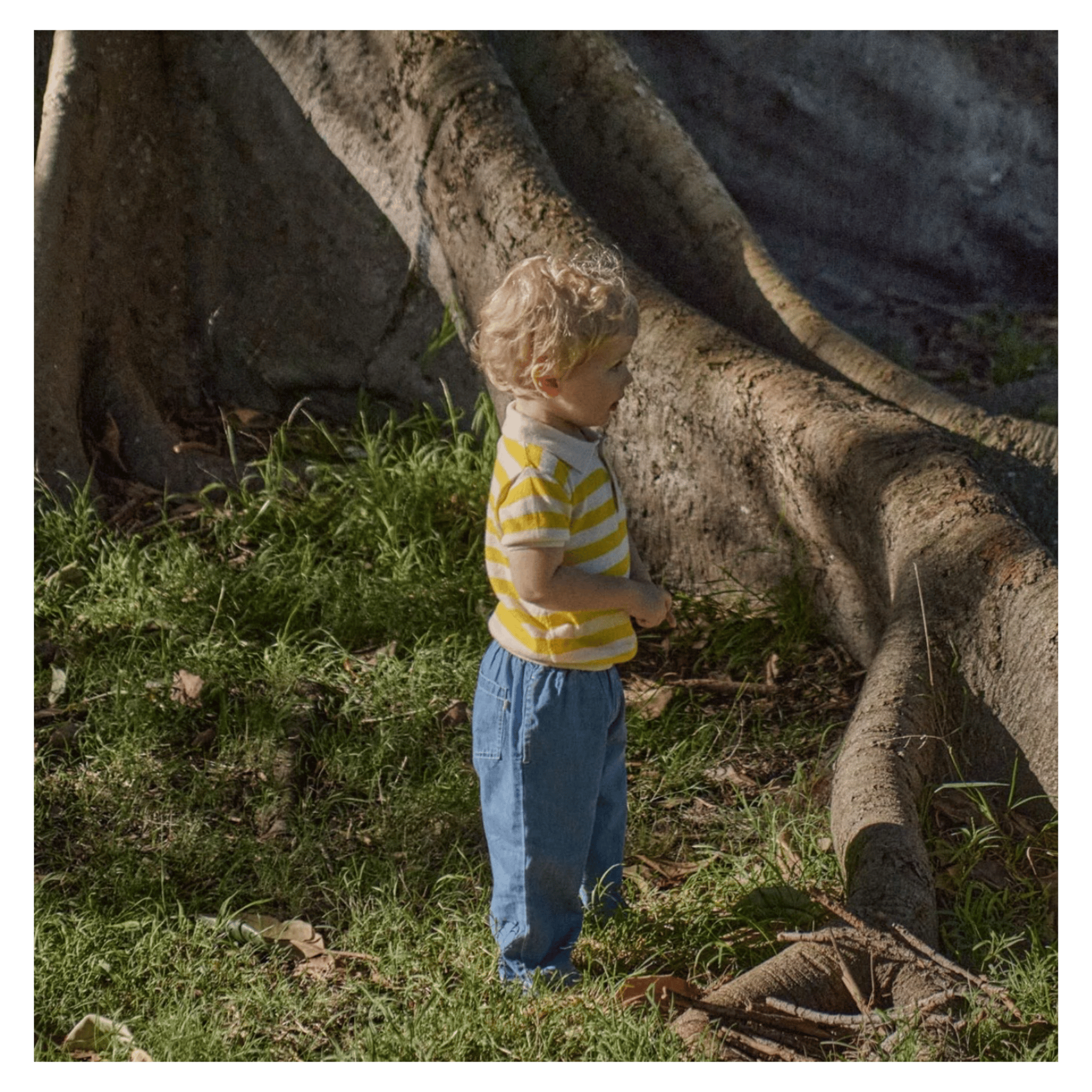 Nature Baby 6-12 Months to 5 Years Stevie Polo - Sunny Bold Stripe