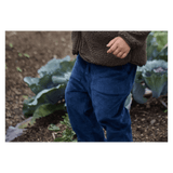 Nature Baby 6-12 Months to 5 Years Teddy Cord Pants - Navy