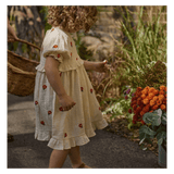 Nature Baby 6-12 Months to 5 Years Valentina Dress - Red Flora