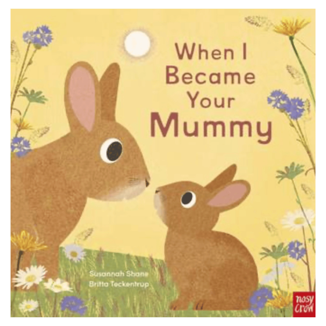 Nosy Crow 2 Plus When I Became Your Mummy  PB - S Shane, B Teckentrup