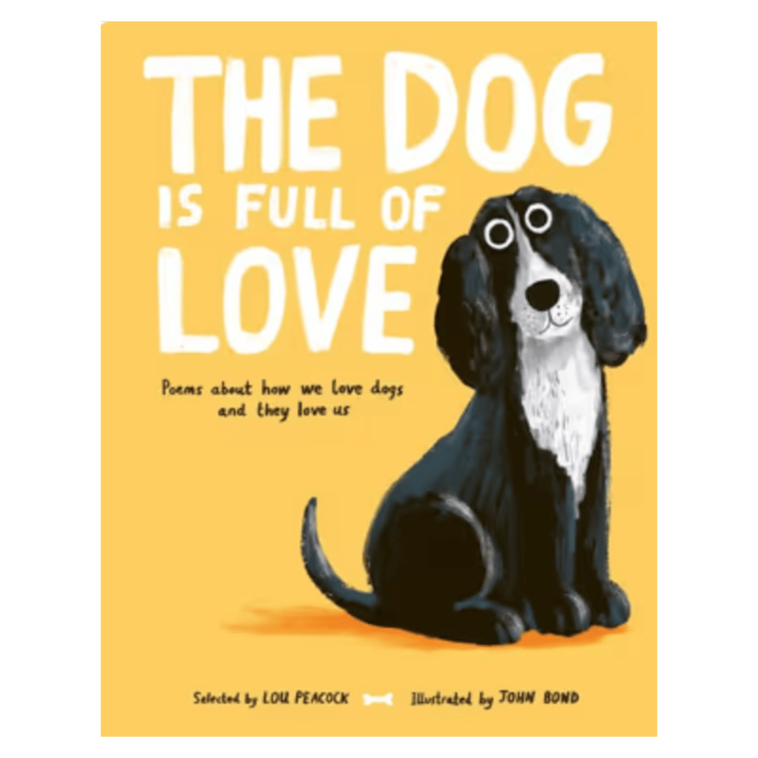 Nosy Crow 7 Plus The Dog is Full of Love - Lou Peacock, John Bond