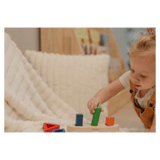 Plan Toys 12 Months Plus Sorting Boat
