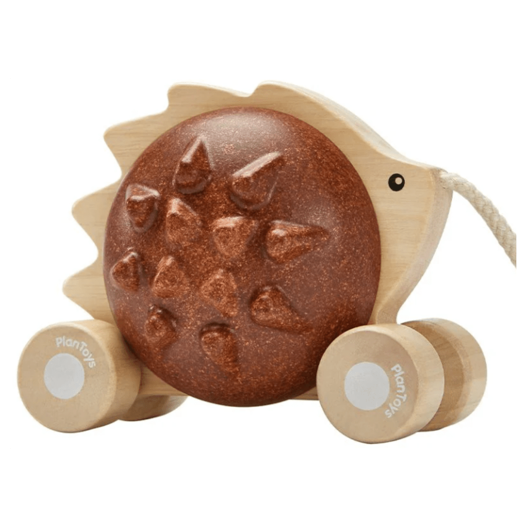 Plan Toys 12 Mths Plus Pull Along Hedgehog