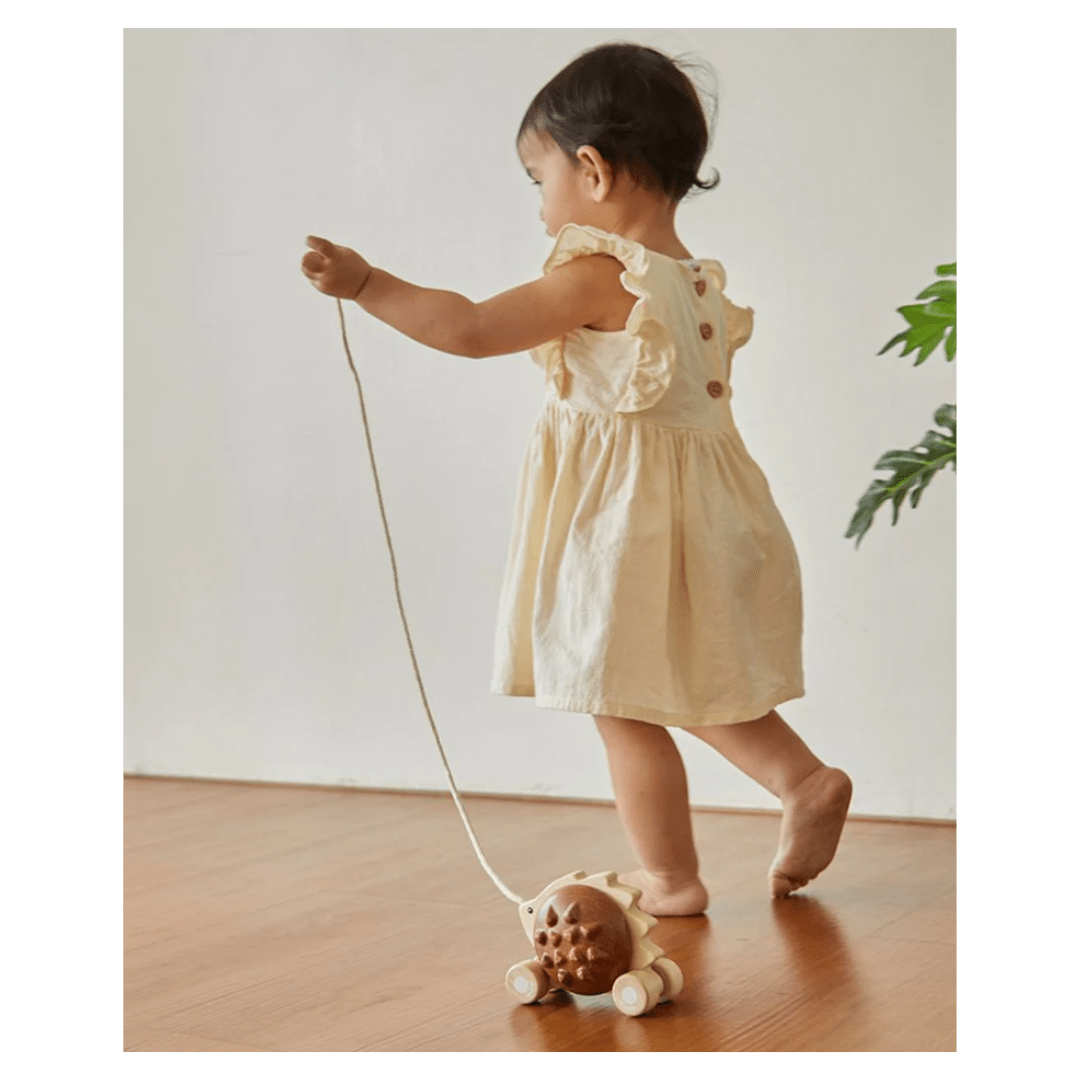 Plan Toys 12 Mths Plus Pull Along Hedgehog