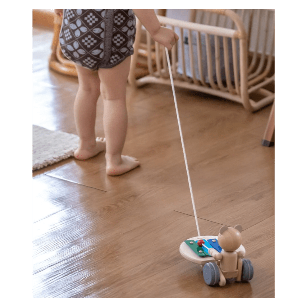 Plan Toys 12 Mths Plus Pull-Along Musical Bear