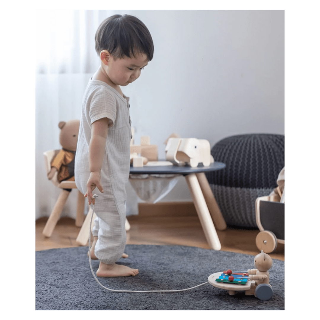 Plan Toys 12 Mths Plus Pull-Along Musical Bear