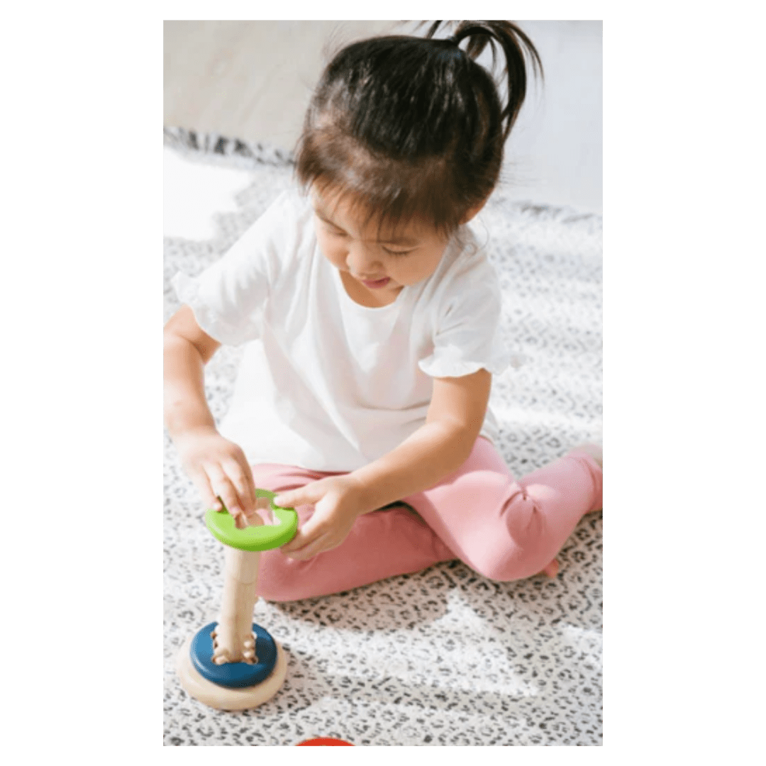 Plan Toys 2 Plus Twist & Sort