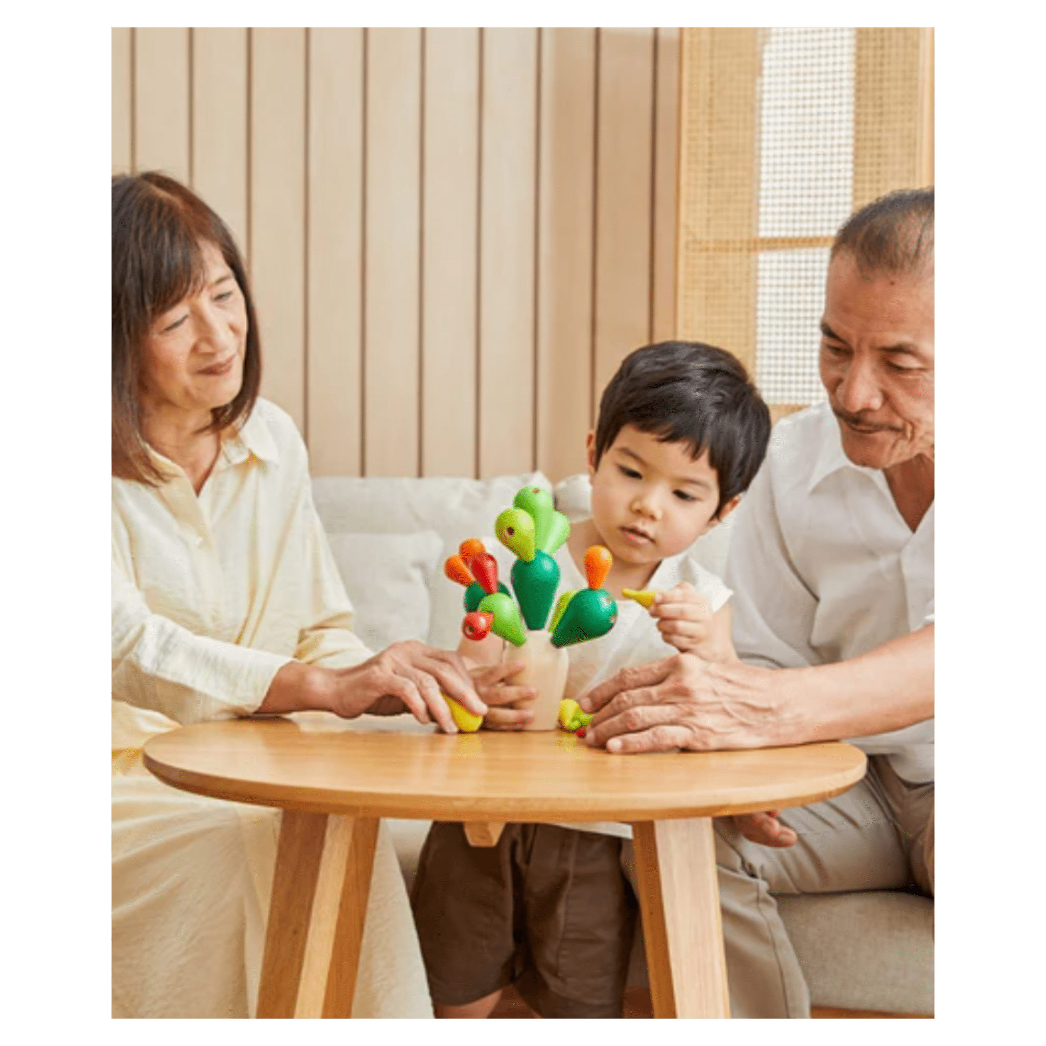 Plan Toys 3 Plus Balancing Cactus