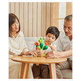 Plan Toys 3 Plus Balancing Cactus