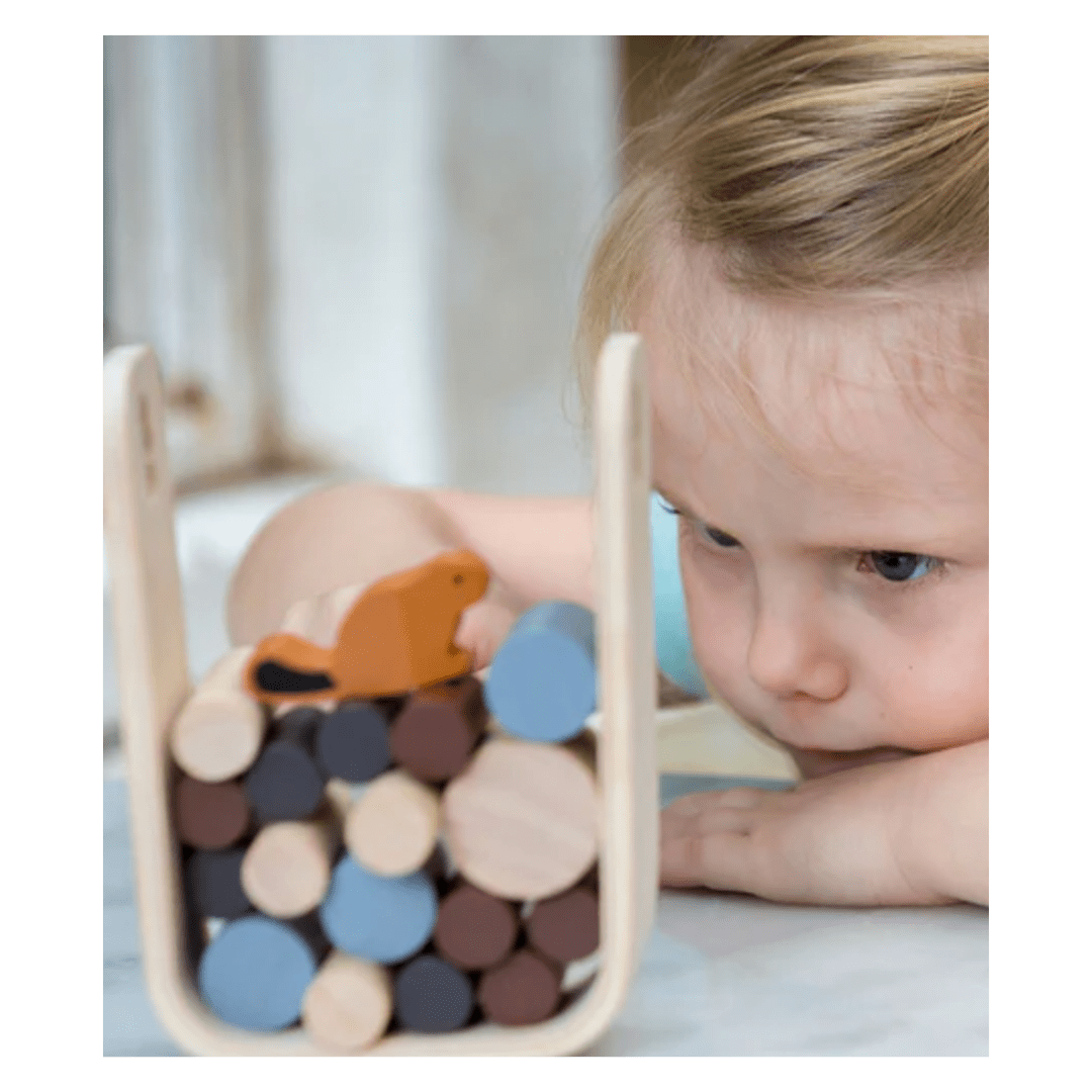 Plan Toys 3 Plus Timber Tumble