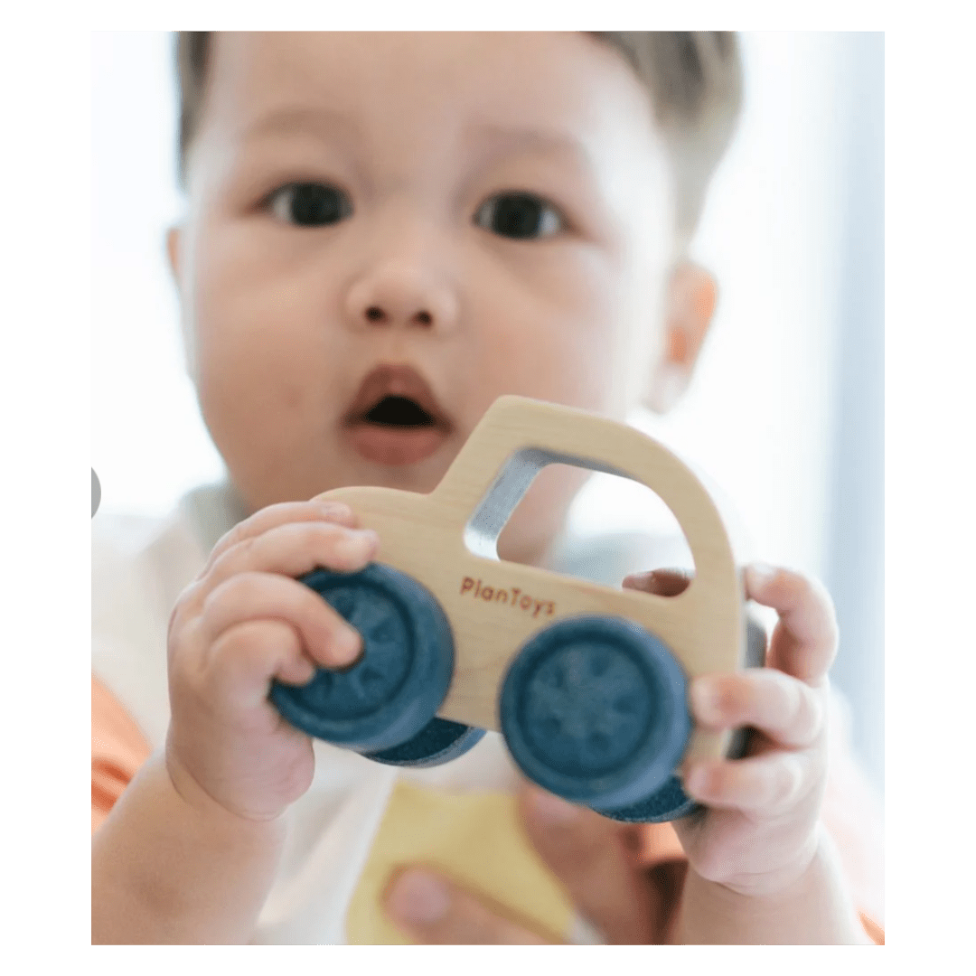 Plan Toys 6 Months Plus Timber Trail EV