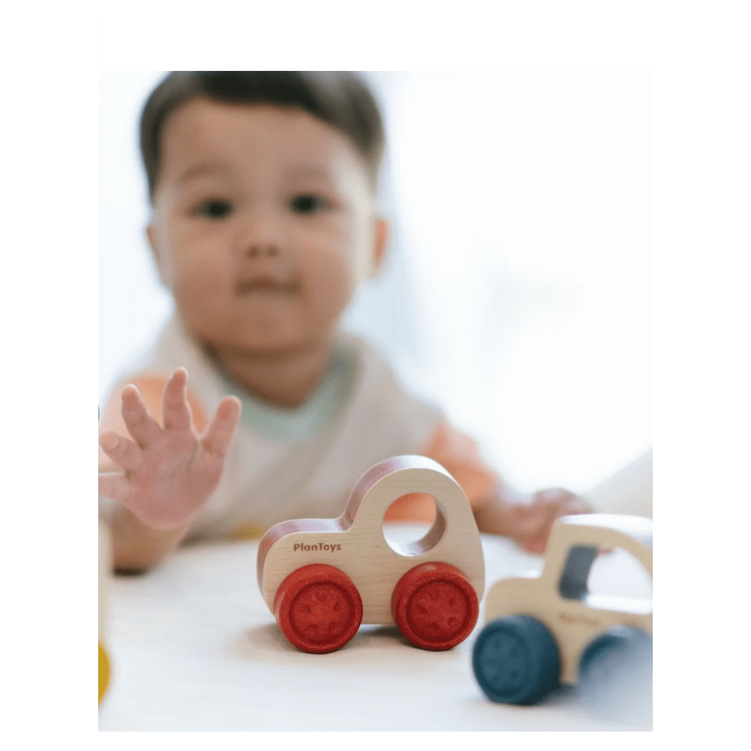 Plan Toys 6 Months Plus Timber Trail EV