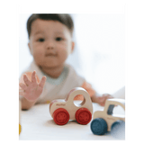 Plan Toys 6 Months Plus Timber Trail EV