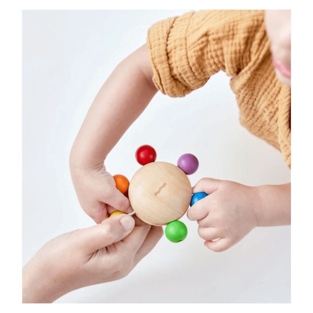 Plan Toys 9 Months Plus Pull & Grasp
