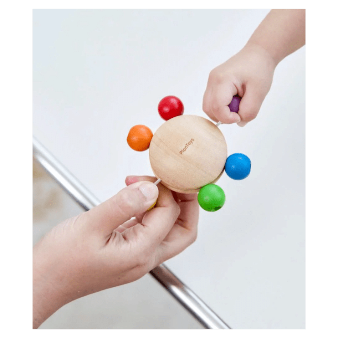 Plan Toys 9 Months Plus Pull & Grasp