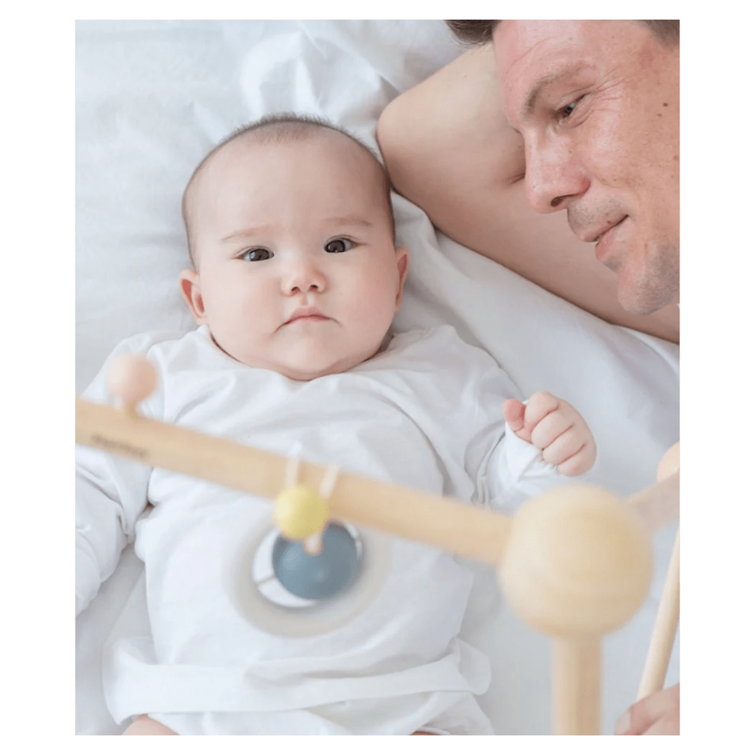 Plan Toys Birth Plus Play Gym - Pastel