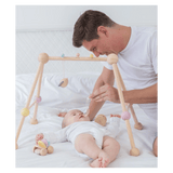 Plan Toys Birth Plus Play Gym - Pastel