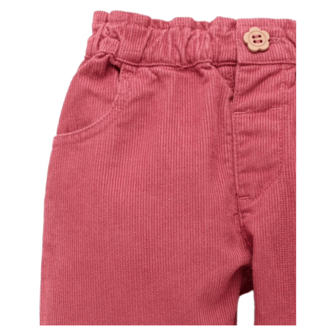 Pure Baby 0-3 Months to 5 Years Corduroy Pull On Pants - Toadstool