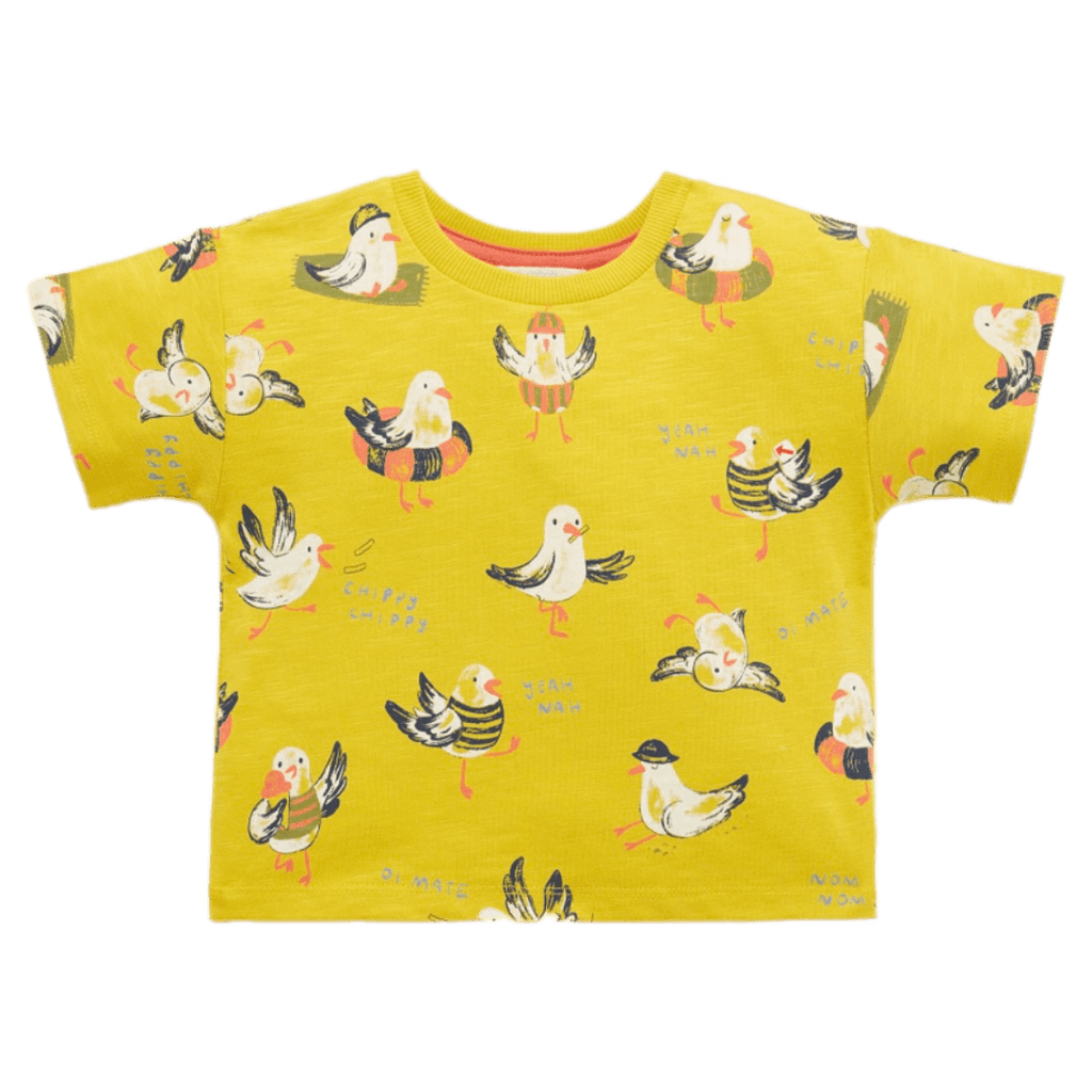 Pure Baby 6-12 Months to 5 Years 6-12M Seagull Chatter Tee - Chippy