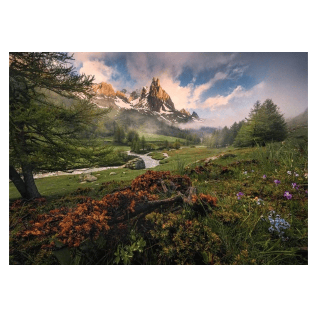Ravensburger 14 Plus 1000 Pc Puzzle - Claree Valley French Alps