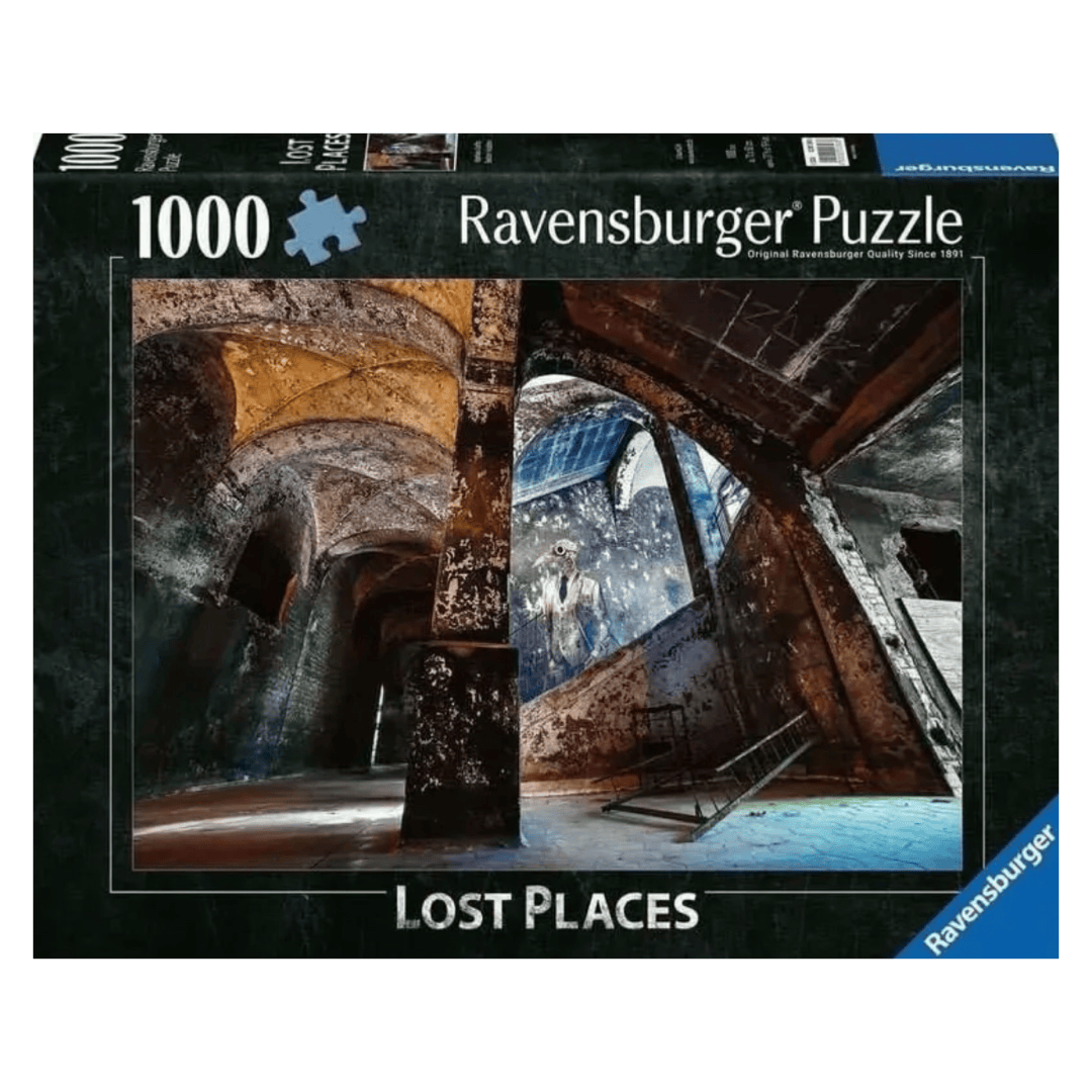 Ravensburger 14 Plus 1000 Pc Puzzle - Lost Places: Alpenhaus Graffito