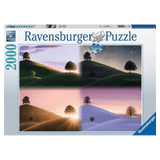 Ravensburger 14 Plus 2000 Pc Puzzle - Atmospheric Trees and Mountains