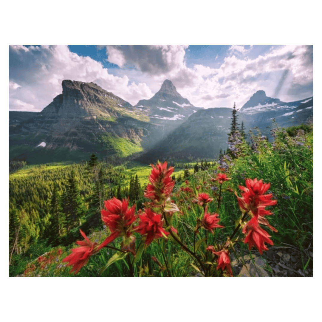 Ravensburger 14 Plus 2000 Pc Puzzle - Pristine Mountains