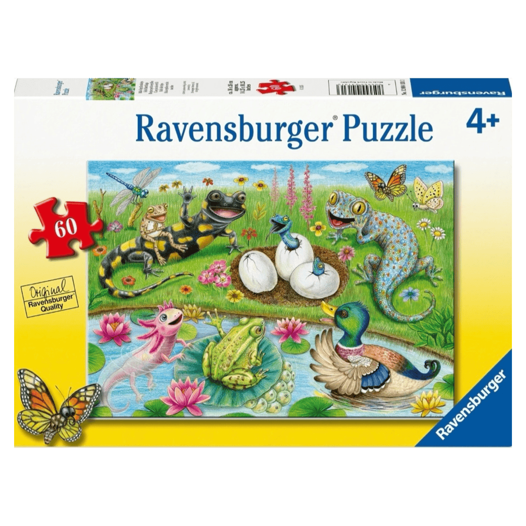 Ravensburger 4 Plus 60 Pc Puzzle - Hello Hatchlings