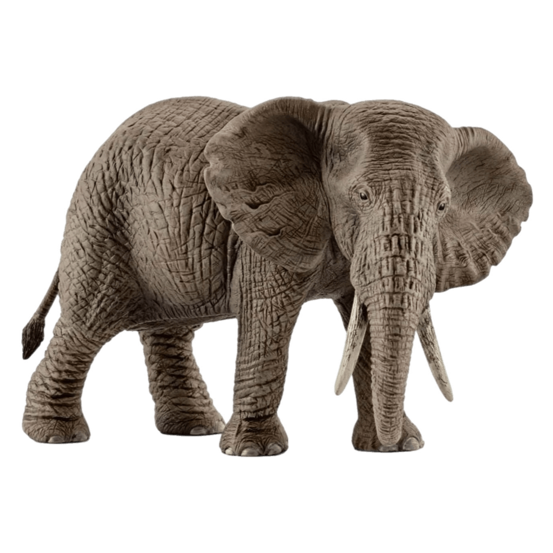 Schleich 3 Plus African Elephant Female