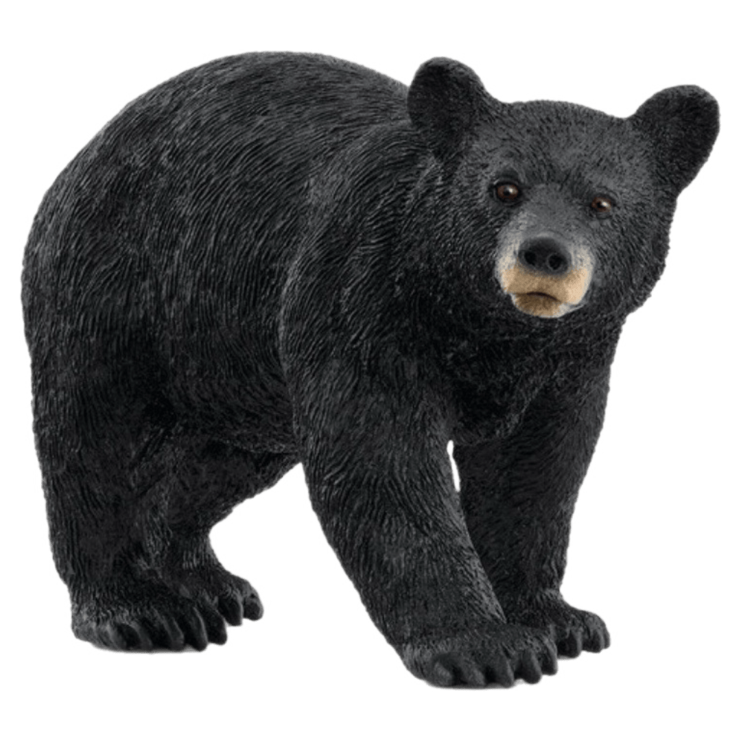 Schleich 3 Plus American Black Bear
