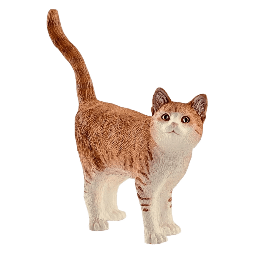 Schleich 3 Plus Cat