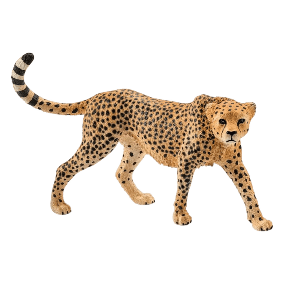 Schleich 3 Plus Cheetah Female
