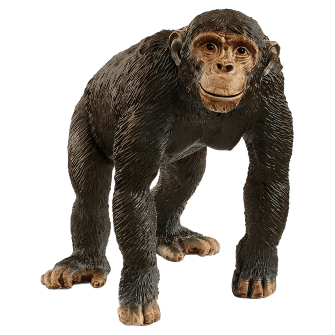 Schleich 3 Plus Chimpanzee