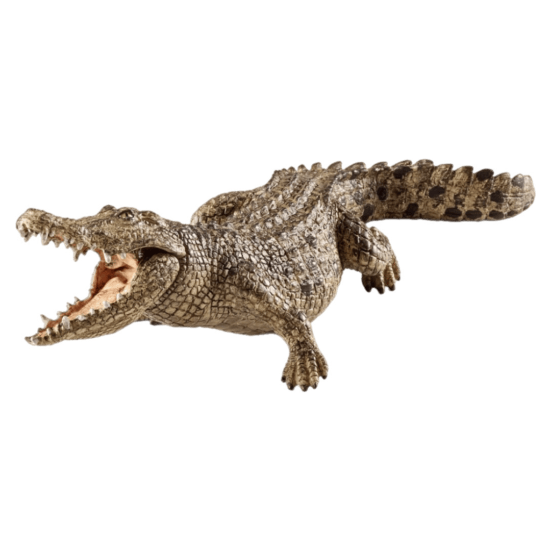 Schleich 3 Plus Crocodile