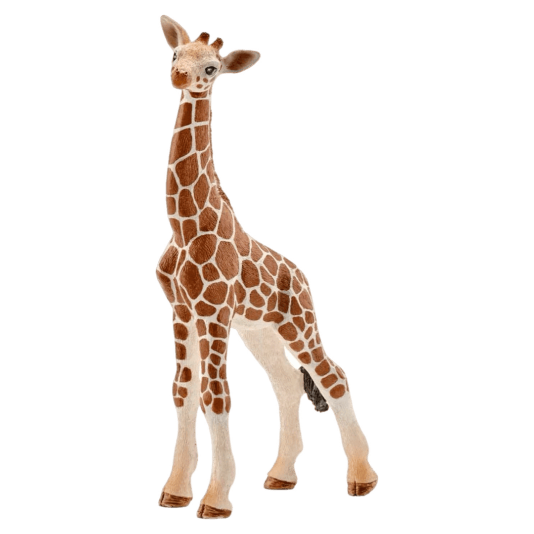 Schleich 3 Plus Giraffe Calf