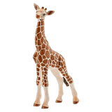 Schleich 3 Plus Giraffe Calf