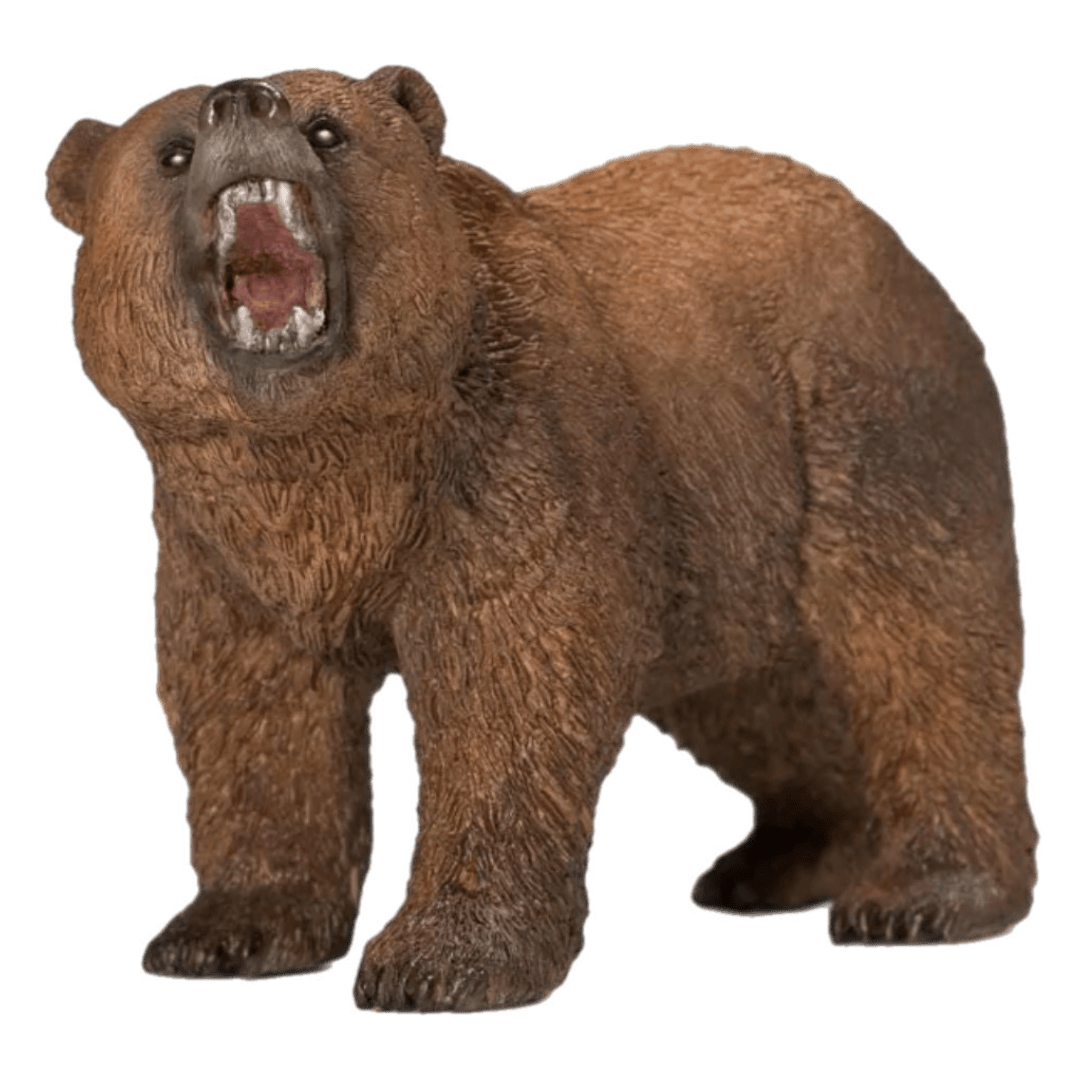 Schleich 3 Plus Grizzly Bear