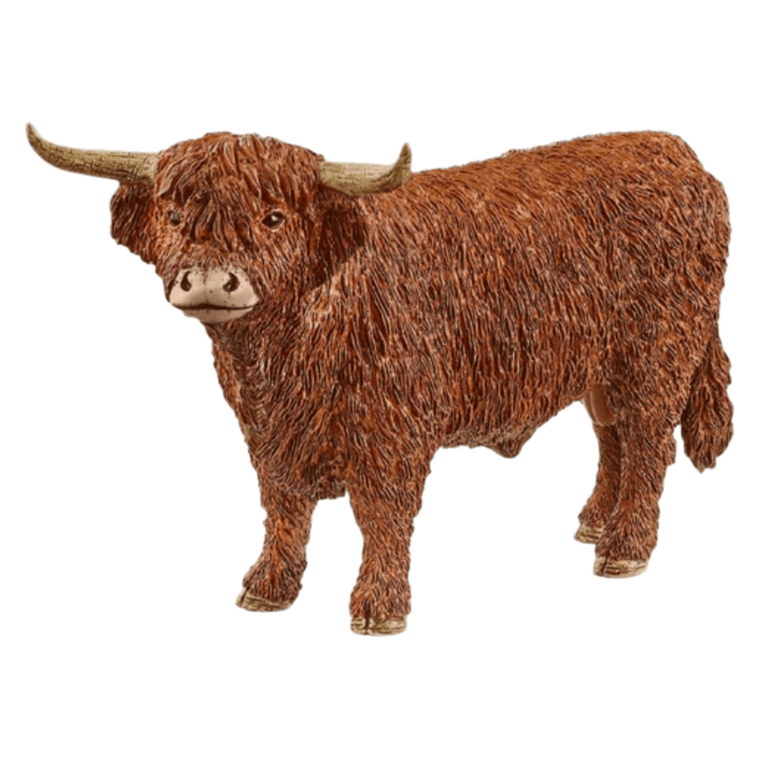 Schleich 3 Plus Highland Bull