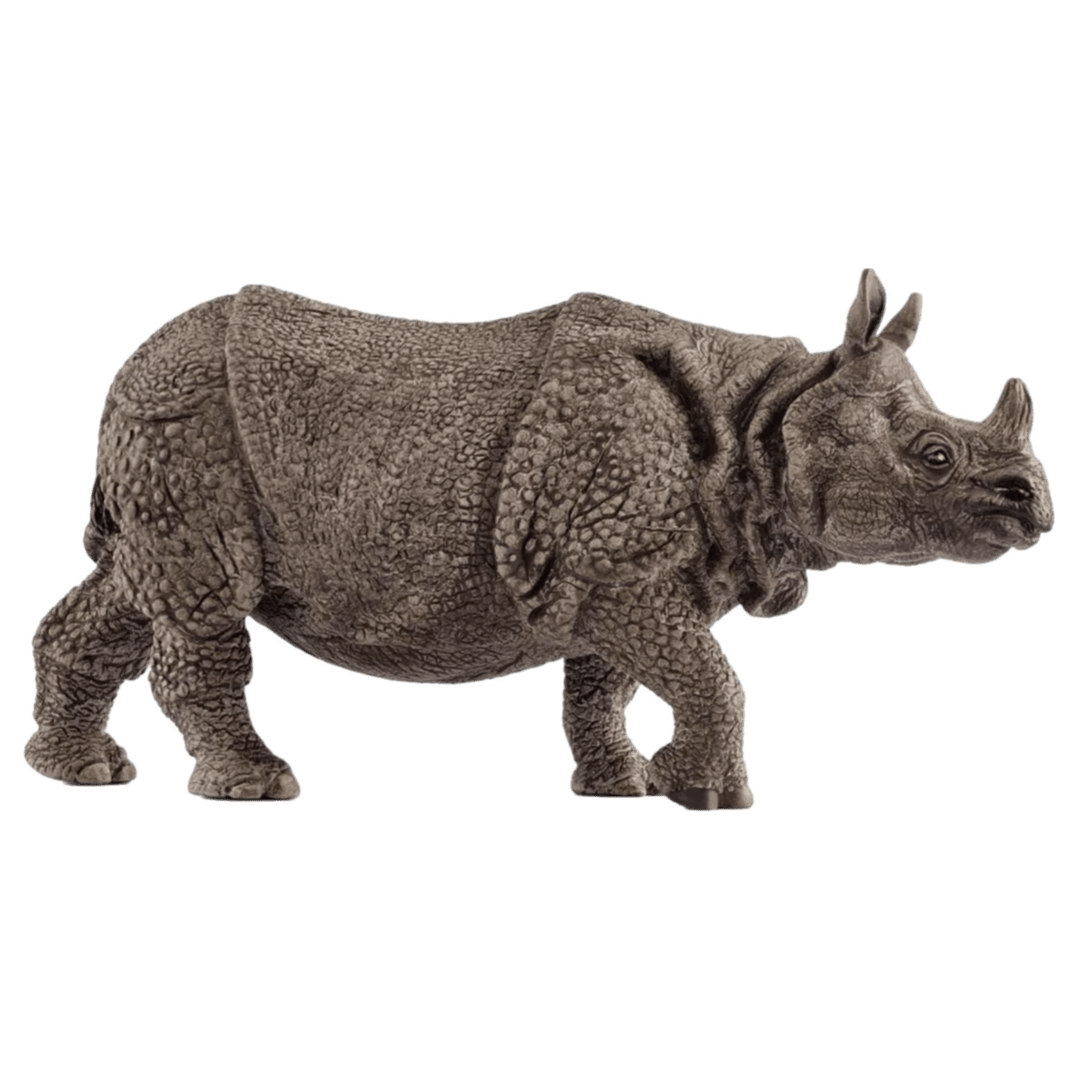 Schleich 3 Plus Indian Rhinoceros