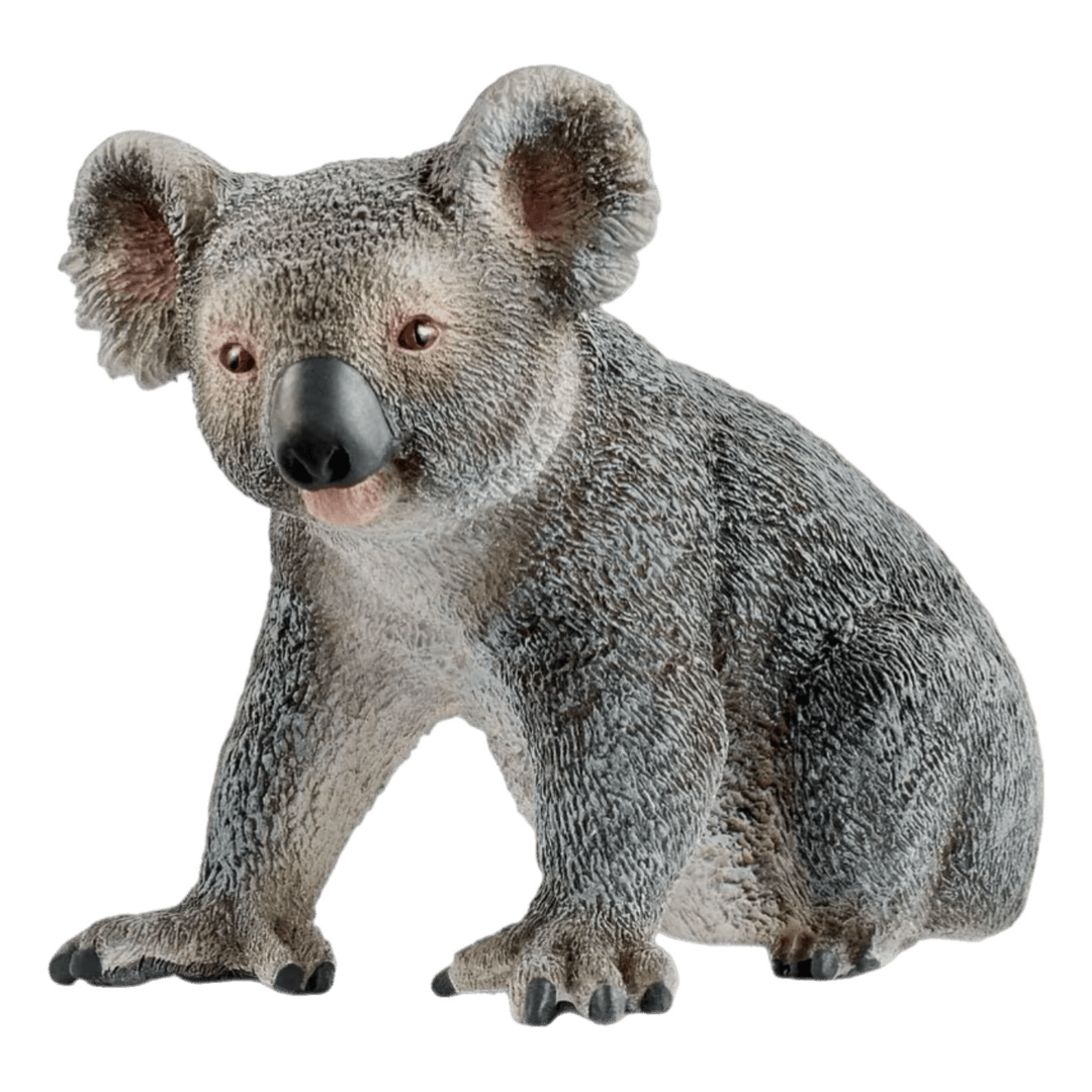 Schleich 3 Plus Koala
