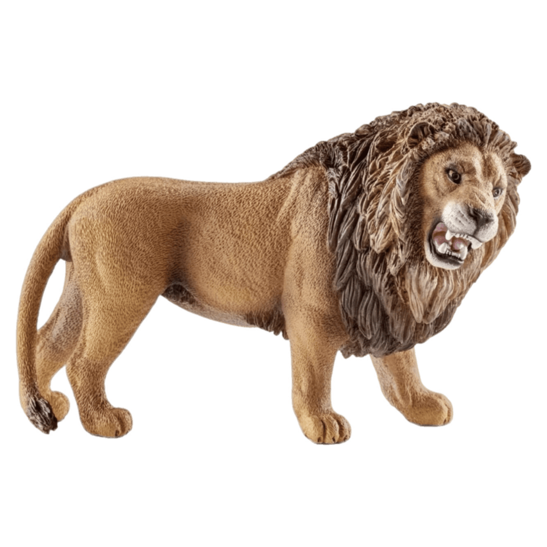 Schleich 3 Plus Lion, Roaring