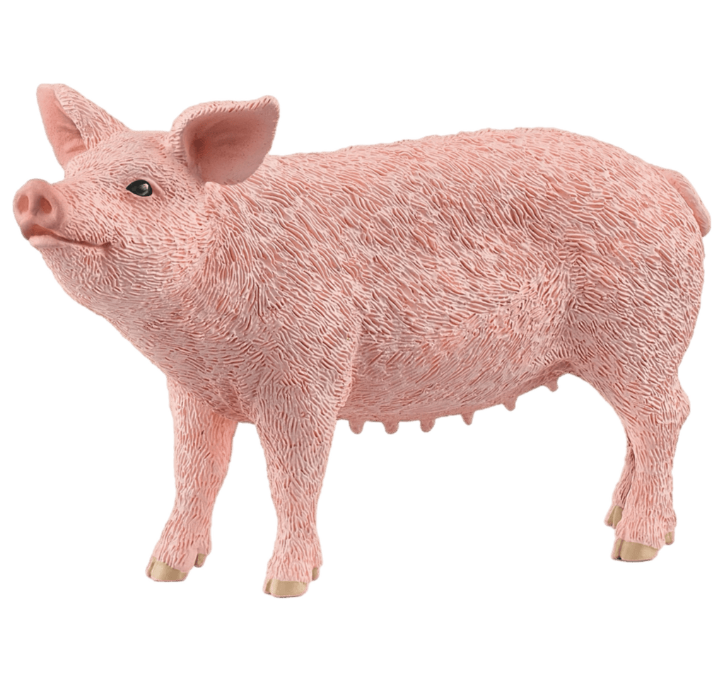 Schleich 3 Plus Pig