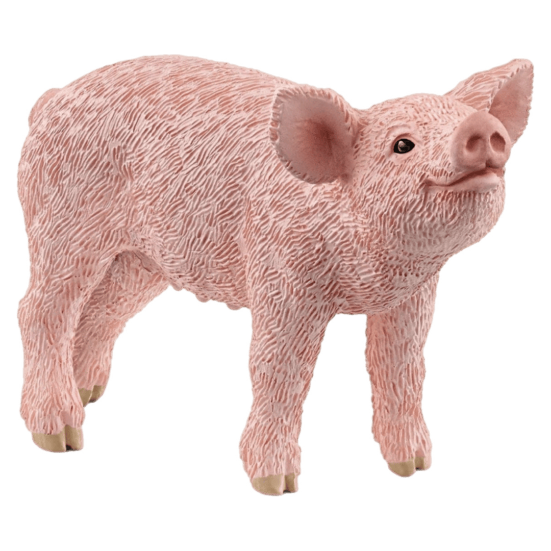 Schleich 3 Plus Piglet