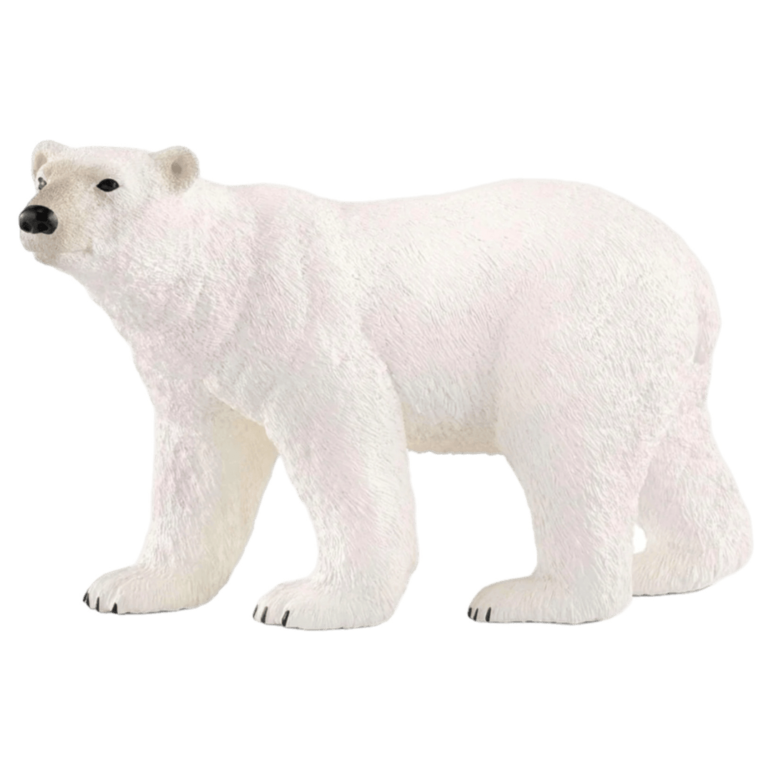 Schleich 3 Plus Polar Bear